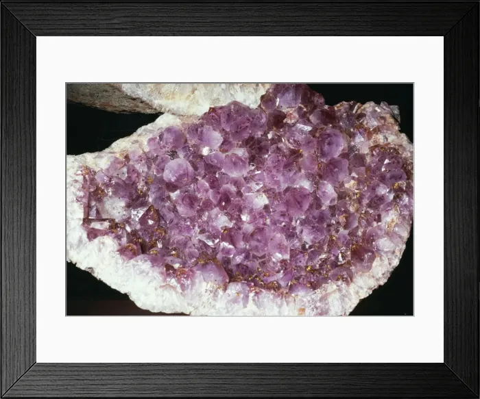 Framed Print : Quartz (Variety Amethyst) Mines Gerais, Brazil Framed Print : Quartz (Variety Amethyst) Mines Gerais, Brazil