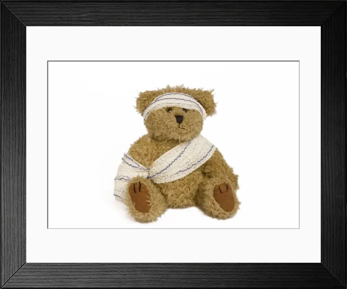 Framed Print : Teddy Bear - with badages in studio Framed Print : Teddy Bear - with badages in studio
