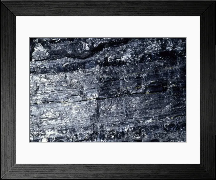 Framed Print : Coal - soft var. Bituminous. Carboniaed vegetable matter Framed Print : Coal - soft var. Bituminous. Carboniaed vegetable matter