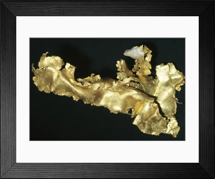 Framed Print : Gold (Native Element) Grass Valley, Neveda County, California Framed Print : Gold (Native Element) Grass Valley, Neveda County, California