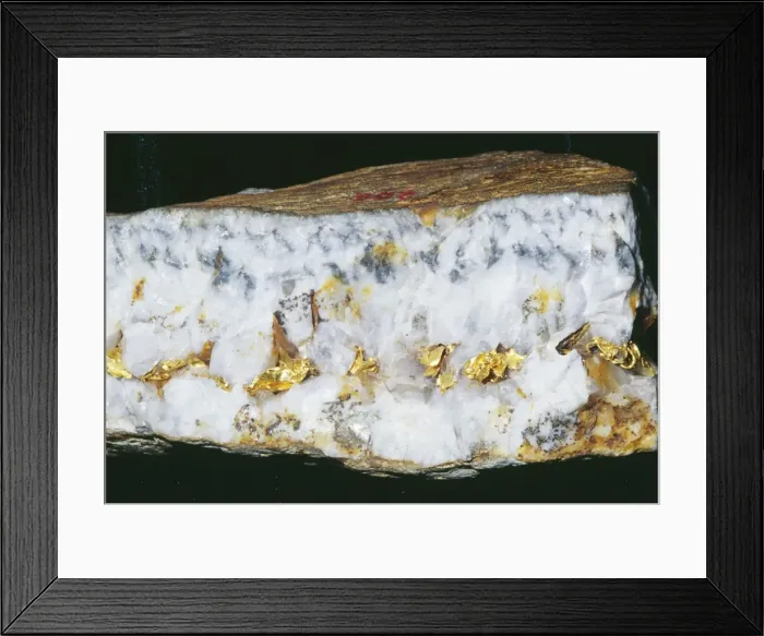 Framed Print : Gold Vein With leaf Gold Au Burgh Hill Mine, California Framed Print : Gold Vein With leaf Gold Au Burgh Hill Mine, California