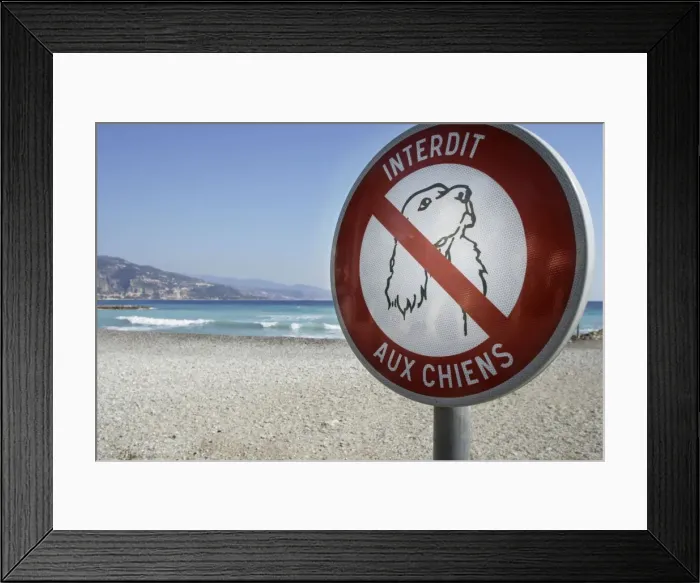 Framed Print : Sign on beach - dogs forbidden France Framed Print : Sign on beach - dogs forbidden France