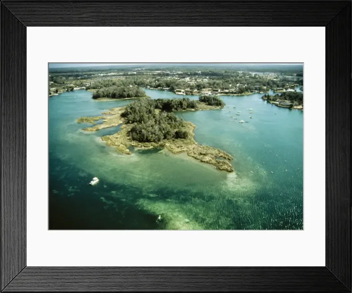 Framed Print : Manatee Sanctuary KA 145 The last Manatee Sanctuary to protect the endangered animals, Crystal River, Florida, USA. © Kurt Amsler / ardea. com Framed Print : Manatee Sanctuary KA 145 The last Manatee Sanctuary to protect the endangered animals, Crystal River, Florida, USA. © Kurt Amsler / ardea. com