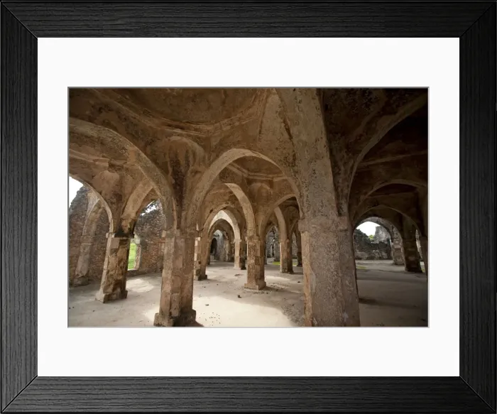 Framed Print : Kilwa Kisiwani Great Mosque - built in the 10th century - Kilwa Kisiwani - Tanzania Framed Print : Kilwa Kisiwani Great Mosque - built in the 10th century - Kilwa Kisiwani - Tanzania