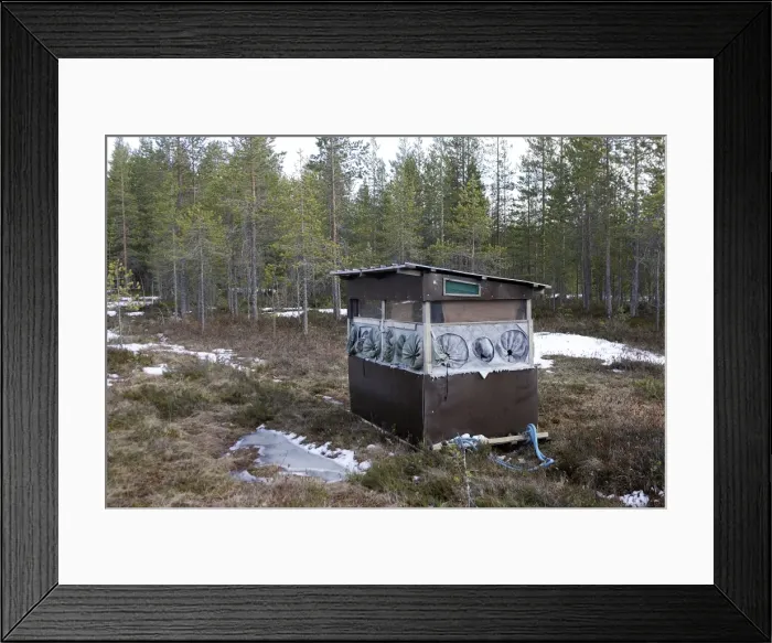 Framed Print : Tent / Hide in forest. Kuhmo - Finland Framed Print : Tent / Hide in forest. Kuhmo - Finland