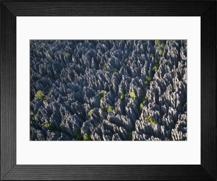 Framed Print : Madagascar - Aerial of Tsingy de Bemahara National Park - showing part of the Ankarana Limestone Massif. Close-up of Razor-sharp limestone karst, knife-edged pinnacles and limestone cliffs. UNESCO Reserve Framed Print : Madagascar - Aerial of Tsingy de Bemahara National Park - showing part of the Ankarana Limestone Massif. Close-up of Razor-sharp limestone karst, knife-edged pinnacles and limestone cliffs. UNESCO Reserve
