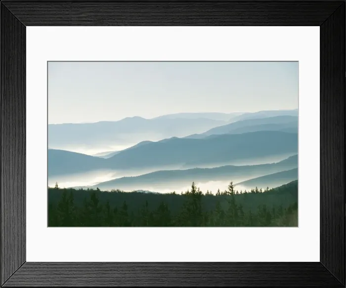 Framed Print : France WAT 3464 Vosges Mountains to the west of Champ du Feu © M. Watson / ardea. com Framed Print : France WAT 3464 Vosges Mountains to the west of Champ du Feu © M. Watson / ardea. com