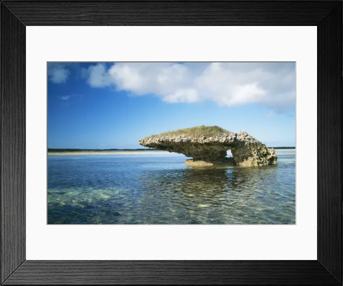 Framed Print : Aldabra WAT 6200 Lagoon, Indian Ocean, Seychelles. © M. Watson  /  ardea. com