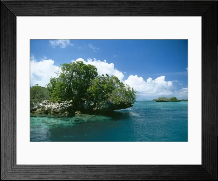 Framed Print : Aldabra WAT 5892 Lagoon, Indian Ocean. © M. Watson / ardea. com Framed Print : Aldabra WAT 5892 Lagoon, Indian Ocean. © M. Watson / ardea. com