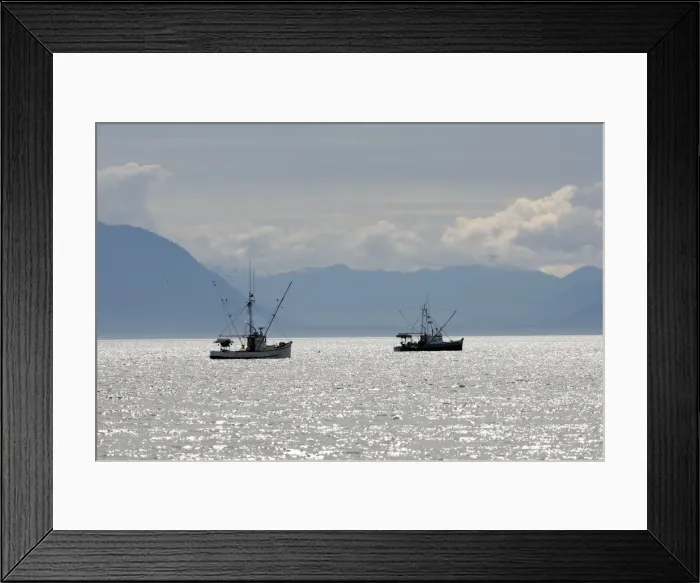 Framed Print : Fishing - for king salmon - Frederick Sound - Inside Passage - Alaska Framed Print : Fishing - for king salmon - Frederick Sound - Inside Passage - Alaska