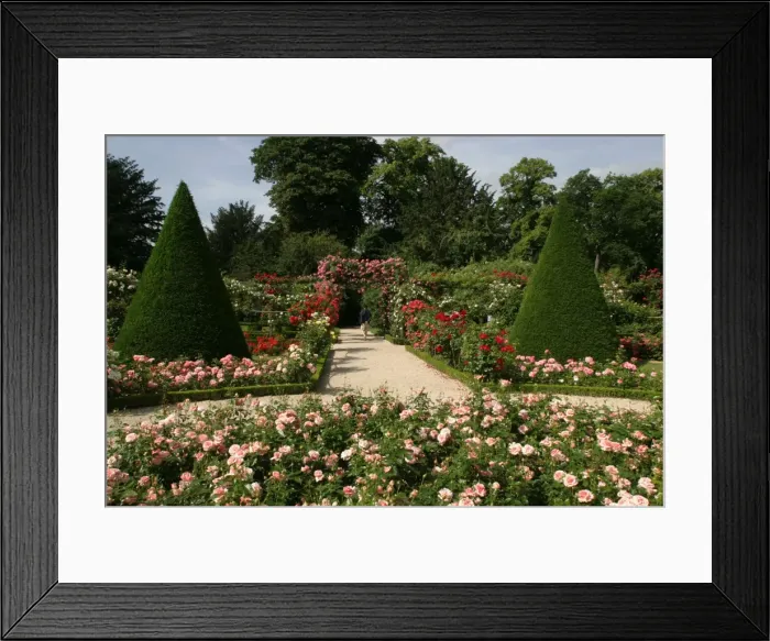 Framed Print : Gardens - Bagatelles Park Allee de Longchamp, between Sevres and Neuilly - Paris Framed Print : Gardens - Bagatelles Park Allee de Longchamp, between Sevres and Neuilly - Paris