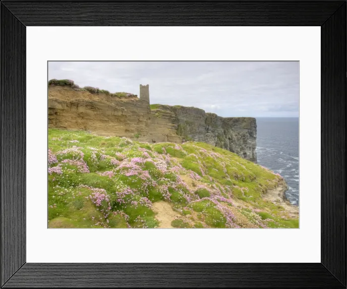 Framed Print : Thrift covered rocks - Marwick Head RSPB reserve - Mainland Orkney LA005214 Framed Print : Thrift covered rocks - Marwick Head RSPB reserve - Mainland Orkney LA005214