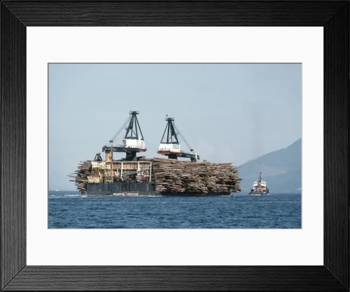 Framed Print : Forestry - Logs on barge Vancouver Island, British Colombia, Canada Framed Print : Forestry - Logs on barge Vancouver Island, British Colombia, Canada