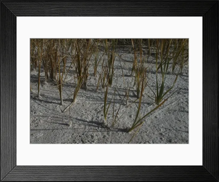 Framed Print : Salinization Alice Springs sewage ponds Nthn Territory, Australia Framed Print : Salinization Alice Springs sewage ponds Nthn Territory, Australia