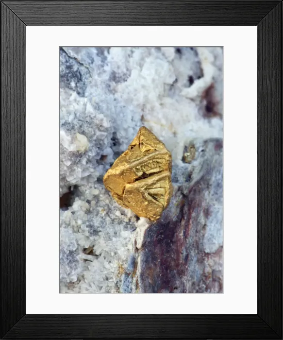 Framed Print : Native Gold - Nevada Framed Print : Native Gold - Nevada