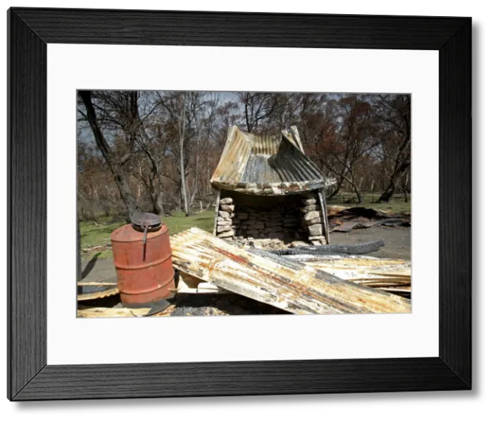 Framed Print : Burnt out Buckwong Hut JLR 46 Bush fire aftermath Near Mont Murphy - Alpine National Park, North East Victoria Australia © Jean-Marc La-Roque / ardea. com Framed Print : Burnt out Buckwong Hut JLR 46 Bush fire aftermath Near Mont Murphy - Alpine National Park, North East Victoria Australia © Jean-Marc La-Roque / ardea. com