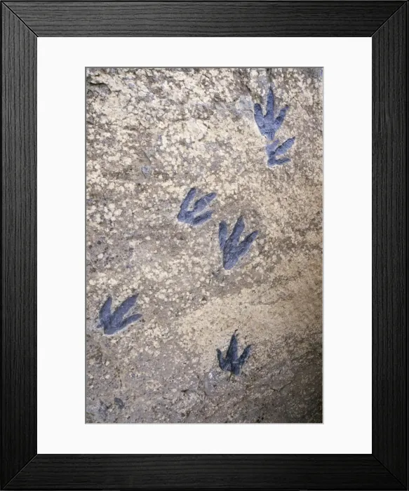Framed Print : Fossil Dinosaur Tracks - Jurassic Spain Framed Print : Fossil Dinosaur Tracks - Jurassic Spain
