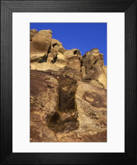 Framed Print : Dinosaurs - Imprint of a Diplodocus femur Morrison Formation, Late Jurassic Location: Dinosaur Hill, Fruita, Colorado DT 550 Framed Print : Dinosaurs - Imprint of a Diplodocus femur Morrison Formation, Late Jurassic Location: Dinosaur Hill, Fruita, Colorado DT 550