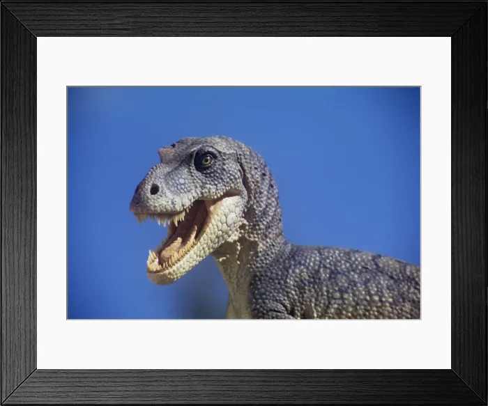 Framed Print : Dinosaur - Albertosaurus liberatus - against a blue sky. Late Cretaceous Framed Print : Dinosaur - Albertosaurus liberatus - against a blue sky. Late Cretaceous