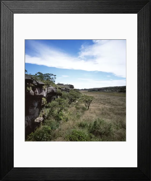 Framed Print : Mount Roraima summit, swamp and scrub, Brazilian sector, Roraima State, Brazil, South America Framed Print : Mount Roraima summit, swamp and scrub, Brazilian sector, Roraima State, Brazil, South America