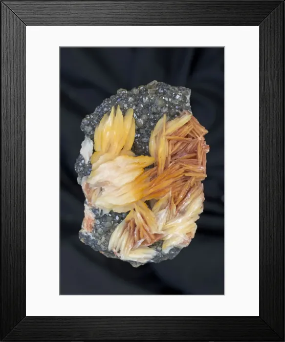 Framed Print : Barite (BaS04) on Cerrusite - Mibladen - Morocco - Barite (orange) is the major ore of barium (barium sulfate) - Mineral class: sulfates - Barite is an important commercial mineral - Widely used as a pigment - Used in medical tests - Cerrusite (grey) Framed Print : Barite (BaS04) on Cerrusite - Mibladen - Morocco - Barite (orange) is the major ore of barium (barium sulfate) - Mineral class: sulfates - Barite is an important commercial mineral - Widely used as a pigment - Used in medical tests - Cerrusite (grey)