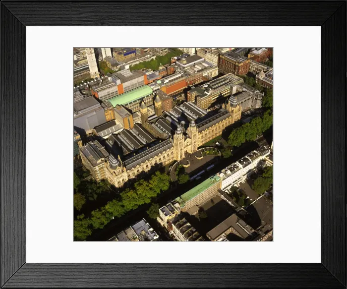 Framed Print : Aerial image of London, England, UK: Natural History Museum, Albertopolis, Exhibition Road, South Kensington. A home to life and earth science specimens comprising some 70 million items within five main collections: Botany, Entomology, Mineralogy Framed Print : Aerial image of London, England, UK: Natural History Museum, Albertopolis, Exhibition Road, South Kensington. A home to life and earth science specimens comprising some 70 million items within five main collections: Botany, Entomology, Mineralogy