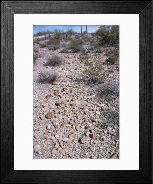 Framed Print : USA - desert pavement Sonoran Desert, USA Framed Print : USA - desert pavement Sonoran Desert, USA