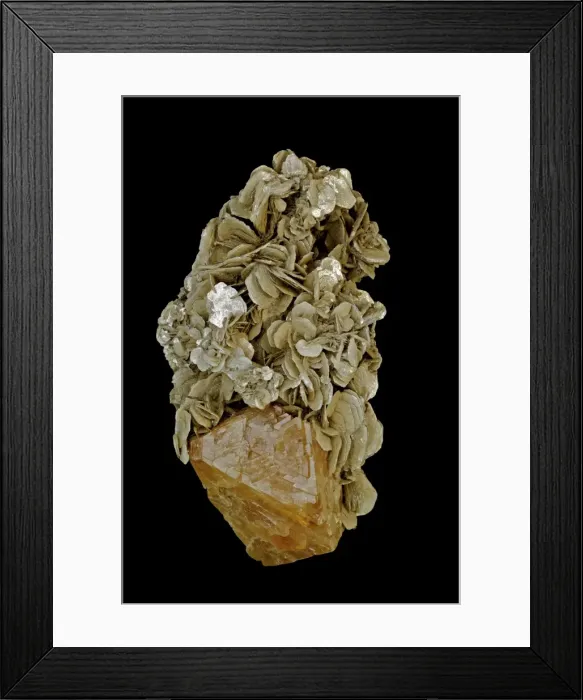 Framed Print : Scheelite Crystal (CaWO4) (bottom) on Muscovite - China - Scheelite is calcium tungstate usually with some of the tunsten replaced by molybdenum - It is fluorescent Framed Print : Scheelite Crystal (CaWO4) (bottom) on Muscovite - China - Scheelite is calcium tungstate usually with some of the tunsten replaced by molybdenum - It is fluorescent