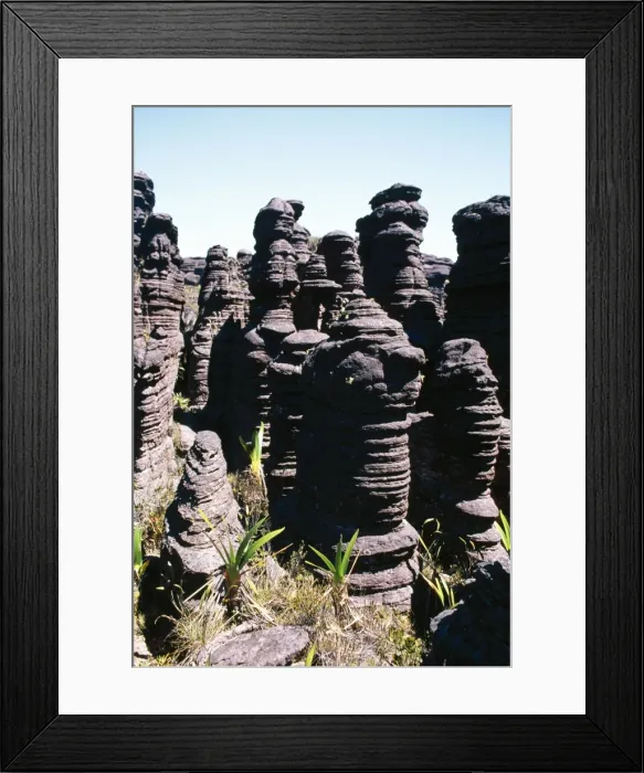 Framed Print : Venezuela Summit of Roraima Framed Print : Venezuela Summit of Roraima