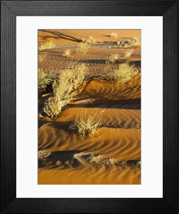 Framed Print : Dry grasses and sand pattern - Namib desert - Sossusvlei area - Namibia Framed Print : Dry grasses and sand pattern - Namib desert - Sossusvlei area - Namibia
