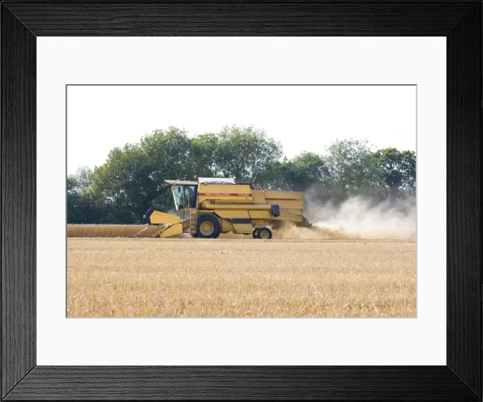 Framed Print : Farming - Combine Harvester - Wheat harvest - Norfolk - UK Framed Print : Farming - Combine Harvester - Wheat harvest - Norfolk - UK