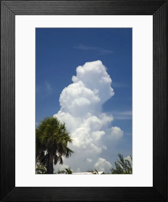 Framed Print : Cumulus storm cloud developing over ocean. Grand Bahama Island, Bahamas