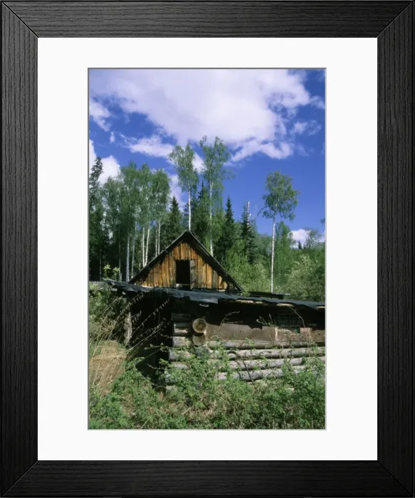 Framed Print : Abandoned hut of a forest keeper on river Negustyah bank (typical siberian log-hut), a tributary of river Bolshoi Ugan, near Ugut settlement; Uganskii Nat. reserve, Siberia, Russia; spring Ug37. 1153 Framed Print : Abandoned hut of a forest keeper on river Negustyah bank (typical siberian log-hut), a tributary of river Bolshoi Ugan, near Ugut settlement; Uganskii Nat. reserve, Siberia, Russia; spring Ug37. 1153