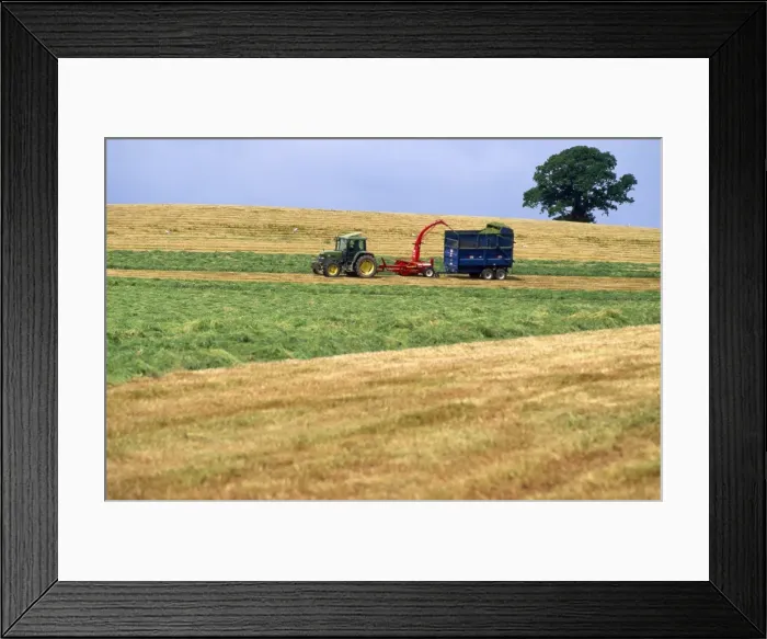 Framed Print : Farming - cutting for sileage Framed Print : Farming - cutting for sileage