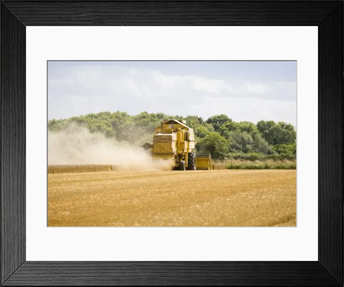 Framed Print : Farming - Combine Harvester - Wheat harvest - Norfolk - UK Framed Print : Farming - Combine Harvester - Wheat harvest - Norfolk - UK