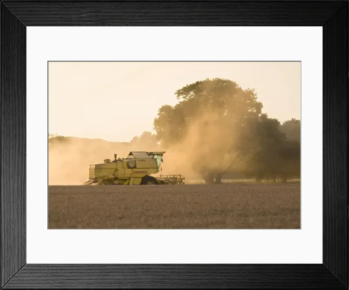 Framed Print : Farming - Combine Harvester - Wheat harvest at sunset - Norfolk - UK Framed Print : Farming - Combine Harvester - Wheat harvest at sunset - Norfolk - UK