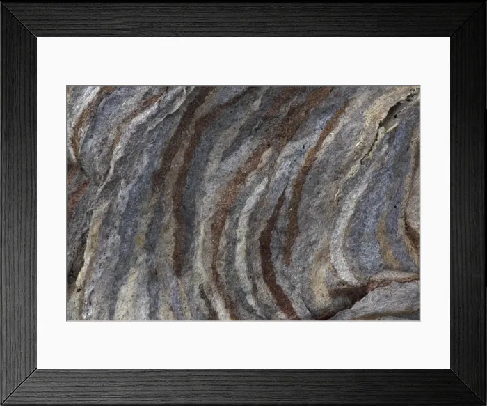 Framed Print : Bald-faced Hornet's - detail of nest - Oregon - USA Framed Print : Bald-faced Hornet's - detail of nest - Oregon - USA