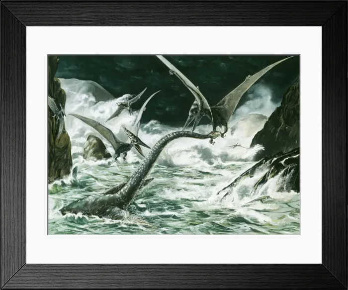 Framed Print : Prehistoric Reconstruction - Pteranodon & Winged Prerosauros (Cretaceous 114 million years ago) fighting with a Elasmosaurus a marine reptile (late Cretaceous) total length 46 ft Framed Print : Prehistoric Reconstruction - Pteranodon & Winged Prerosauros (Cretaceous 114 million years ago) fighting with a Elasmosaurus a marine reptile (late Cretaceous) total length 46 ft