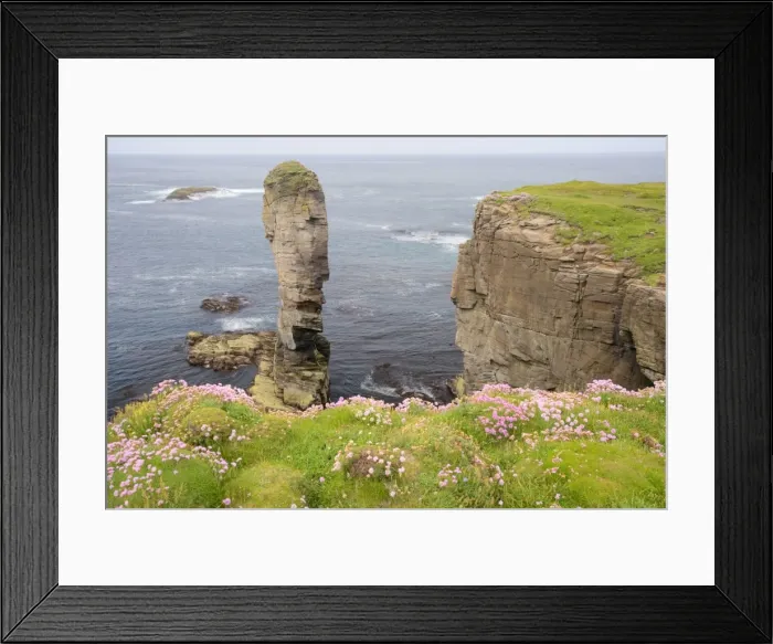 Framed Print : Sea stack Yesnaby Castle and cliffs - Orkney Mainland LA005111