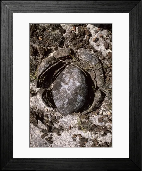 Framed Print : Eroded granite near Mount Roraima, Gran Sabana, Estado Bolivar, Venezuela, South America Framed Print : Eroded granite near Mount Roraima, Gran Sabana, Estado Bolivar, Venezuela, South America