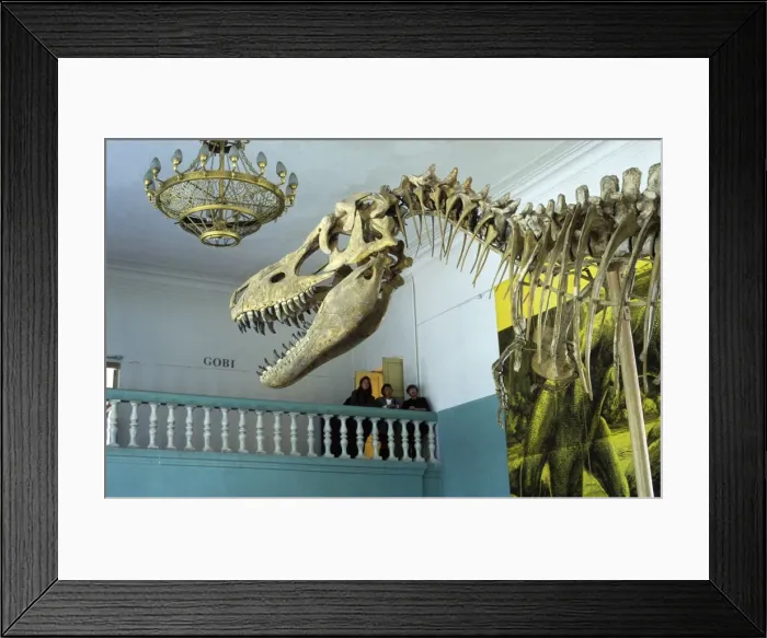 Framed Print : Dinosaurs - Theropods: Tarbosaurus Tarbosaurus is a carnivorous dinosaur of Central Asia in the Tyrannosaur family; sometimes considered synonymous with Tyrannosaurus bataar. From the Late Cretaceous of the Gobi Desert, Mongolia Framed Print : Dinosaurs - Theropods: Tarbosaurus Tarbosaurus is a carnivorous dinosaur of Central Asia in the Tyrannosaur family; sometimes considered synonymous with Tyrannosaurus bataar. From the Late Cretaceous of the Gobi Desert, Mongolia