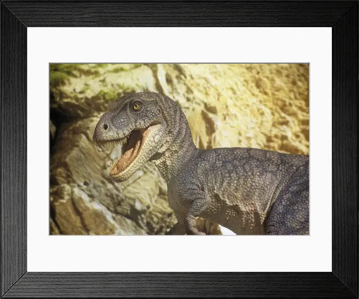 Framed Print : Albertosaurus in valley. Late Cretaceous Framed Print : Albertosaurus in valley. Late Cretaceous