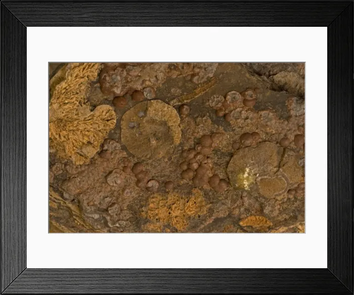 Framed Print : Cristobalite on Rhyolite - Picture Rhyolite - West Queen Canyon - Mineral County - Nevada - USA Framed Print : Cristobalite on Rhyolite - Picture Rhyolite - West Queen Canyon - Mineral County - Nevada - USA