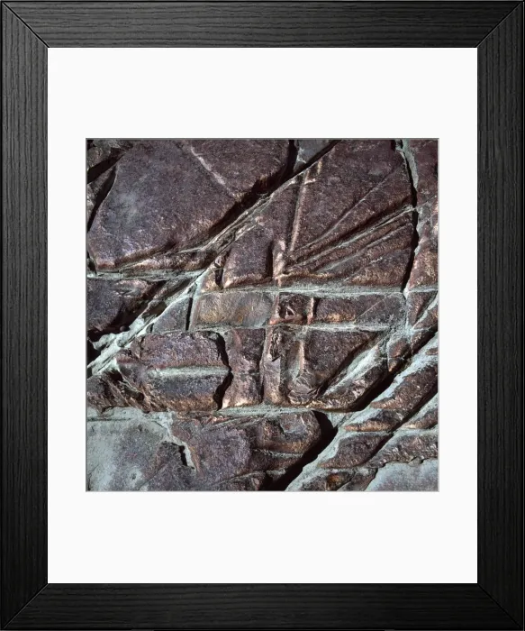 Framed Print : Guyana, South America: red jasper rock at Orinduik Falls, Ireng river Framed Print : Guyana, South America: red jasper rock at Orinduik Falls, Ireng river