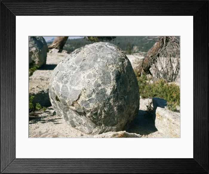 Framed Print : USA Glacial erratic boulder of Conglomerate, Yosemite National Park Framed Print : USA Glacial erratic boulder of Conglomerate, Yosemite National Park
