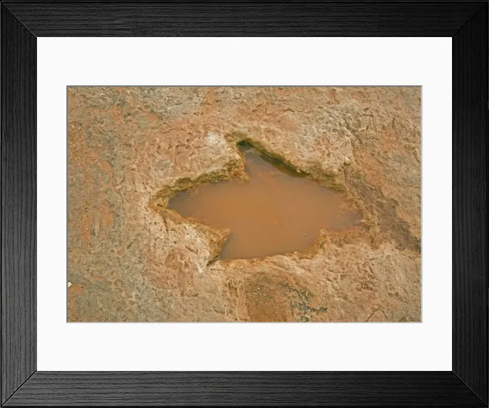 Framed Print : Fossil Dinosaur Footprint (Theropod) - Early Jurassic - Navajo reservation near Tuba city - Arizona - USA Framed Print : Fossil Dinosaur Footprint (Theropod) - Early Jurassic - Navajo reservation near Tuba city - Arizona - USA