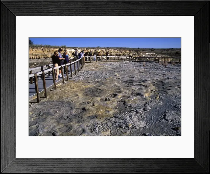 Framed Print : Dinosaur tracks: Clayton Lake State Park, New Mexico, USA Footprints and trackways of Ornithopod and Theropod dinosaurs have been discovered on a layer of rock near the Clayton Lake Reservoir in New Mexico Framed Print : Dinosaur tracks: Clayton Lake State Park, New Mexico, USA Footprints and trackways of Ornithopod and Theropod dinosaurs have been discovered on a layer of rock near the Clayton Lake Reservoir in New Mexico