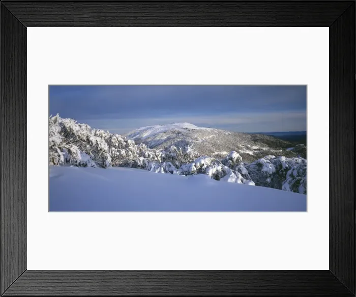 Framed Print : Mount Buller and Buller Village Ski Resort JLR 9 North East Victoria High Country - Australia © Jean-Marc La-Roque / ardea. com Framed Print : Mount Buller and Buller Village Ski Resort JLR 9 North East Victoria High Country - Australia © Jean-Marc La-Roque / ardea. com