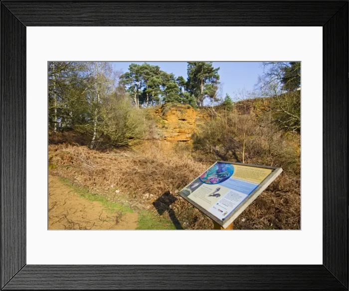 Framed Print : Information board at sandstone quarry - The Lodge RSPB Nature Reserve - Sandy - Bedfordshire - UK Framed Print : Information board at sandstone quarry - The Lodge RSPB Nature Reserve - Sandy - Bedfordshire - UK