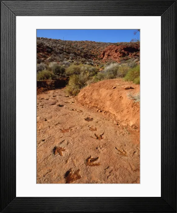 Framed Print : Theropods Dinosaur Footprints Nr St. Georges, Utah, USA Framed Print : Theropods Dinosaur Footprints Nr St. Georges, Utah, USA